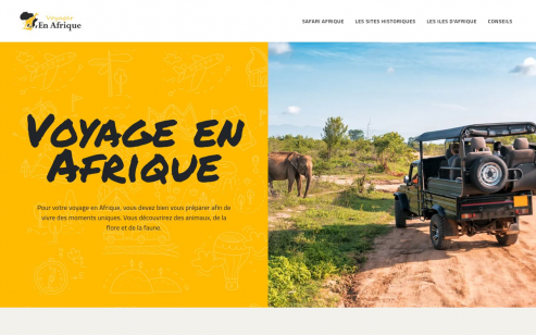 https://www.voyager-en-afrique.com